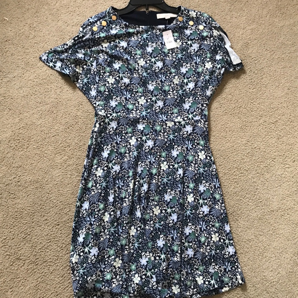 Loft dress NWT size 2